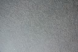 Back view showing grain